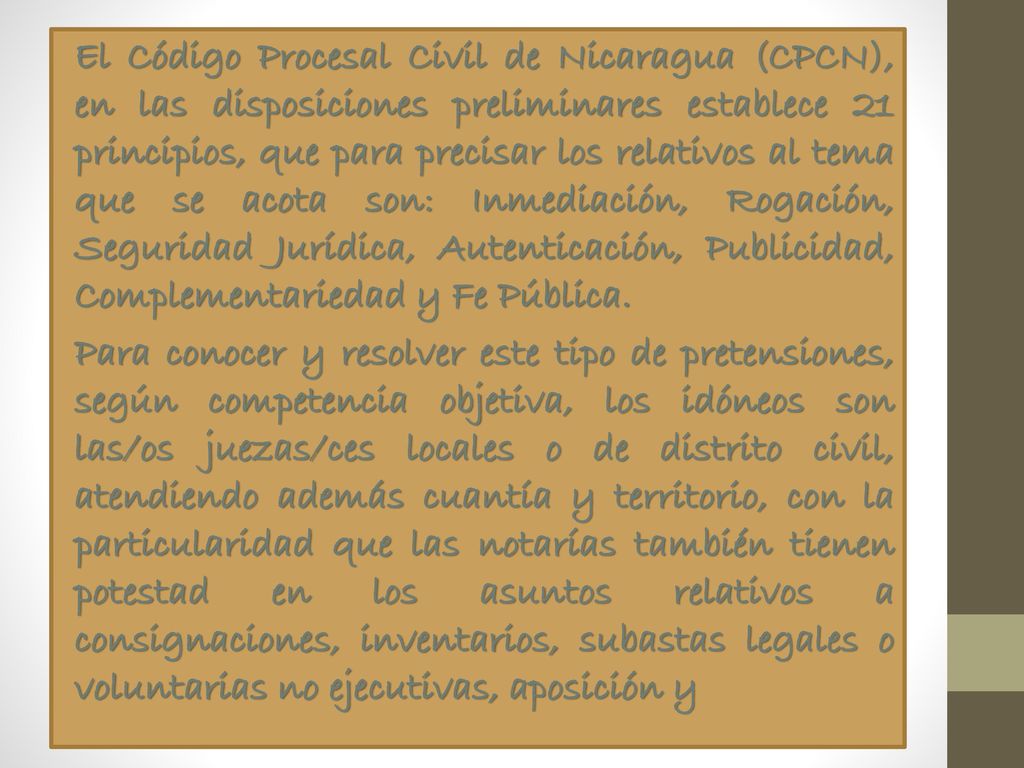 El Código Procesal Civil de Nicaragua (CPCN), en las disposiciones preliminares establece 21 principios, que para precisar los relativos al tema que se acota son: Inmediación, Rogación, Seguridad Jurídica, Autenticación, Publicidad, Complementariedad y Fe Pública.