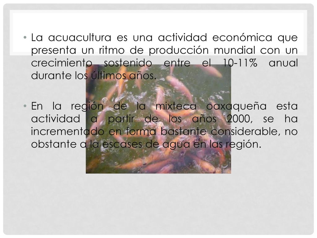 La acuacultura es una actividad económica que presenta un ritmo de producción mundial con un crecimiento sostenido entre el 10-11% anual durante los últimos años.