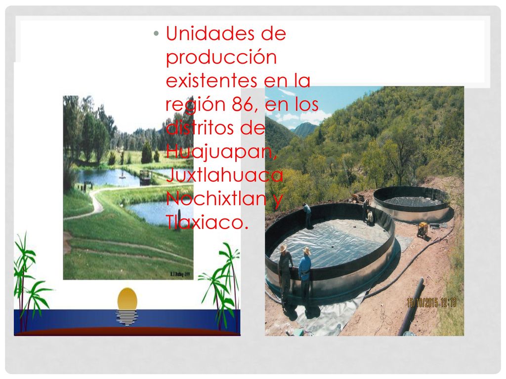 Unidades de producción existentes en la región 86, en los distritos de Huajuapan, Juxtlahuaca Nochixtlan y Tlaxiaco.