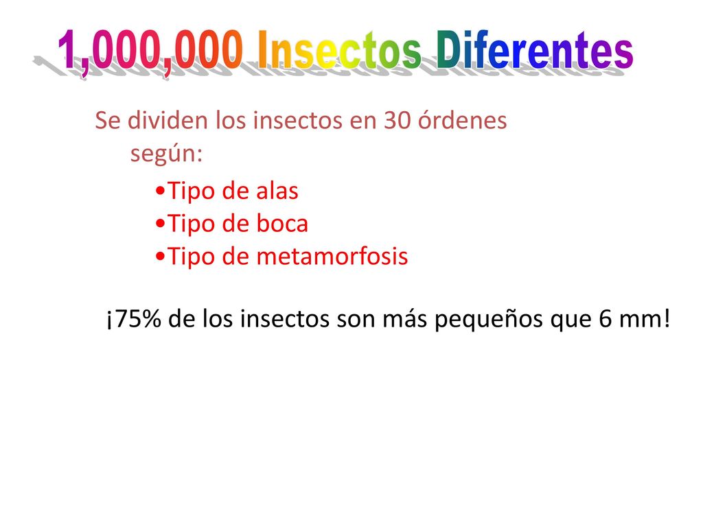 1,000,000 Insectos Diferentes Se dividen los insectos en 30 órdenes según: Tipo de alas. Tipo de boca.