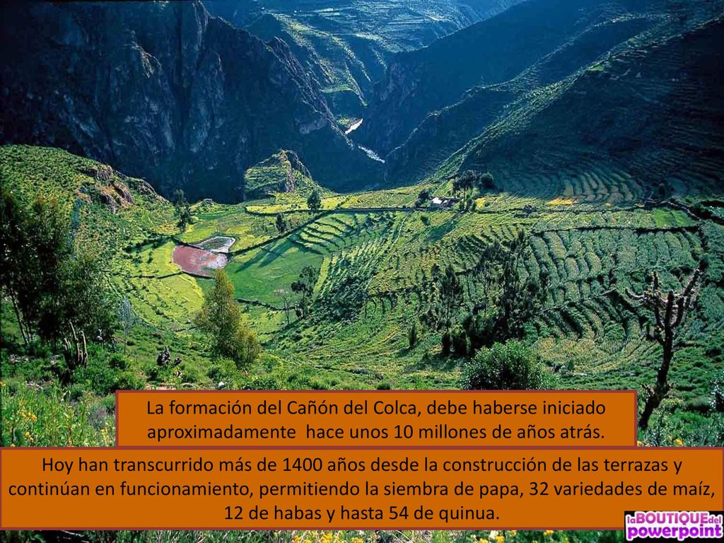 Ón La formación del Cañón del Colca, debe haberse iniciado aproximadamente hace unos 10 millones de años atrás.