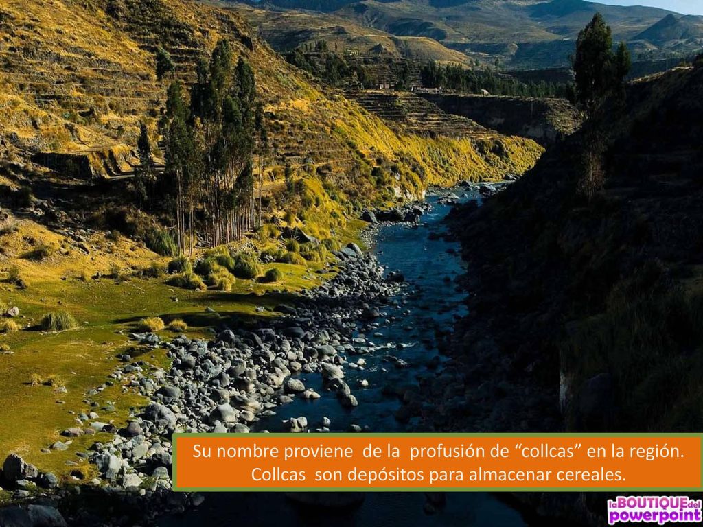 Su nombre proviene de la profusión de collcas en la región.
