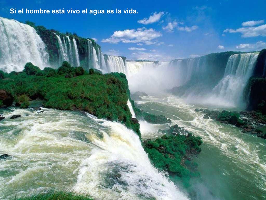 Si el hombre está vivo el agua es la vida.