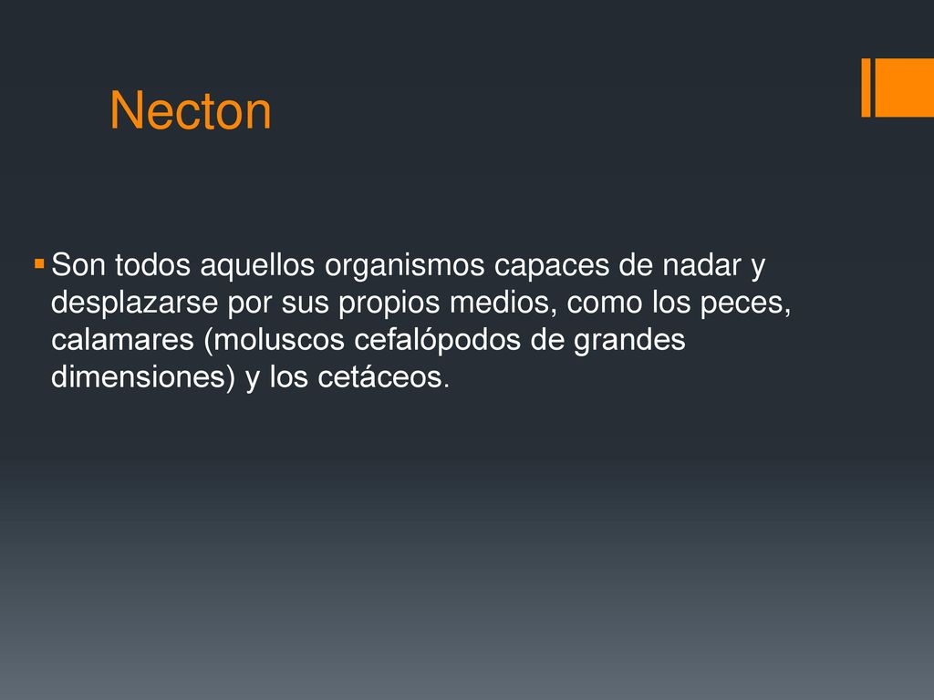 Necton