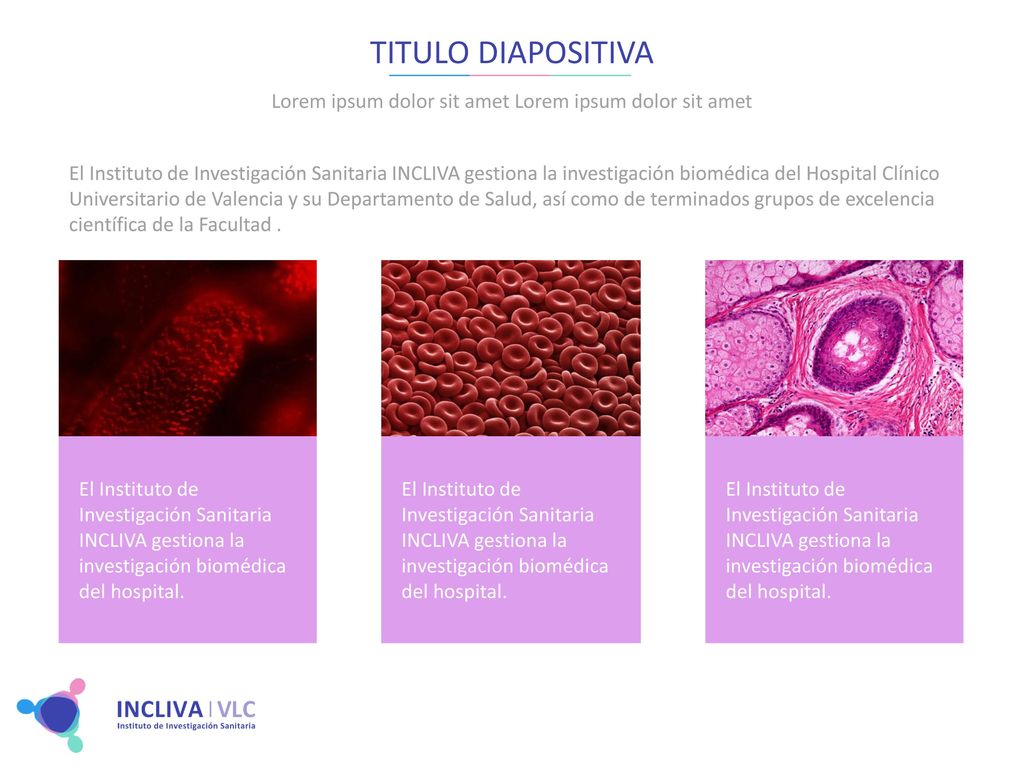 Lorem ipsum dolor sit amet Lorem ipsum dolor sit amet