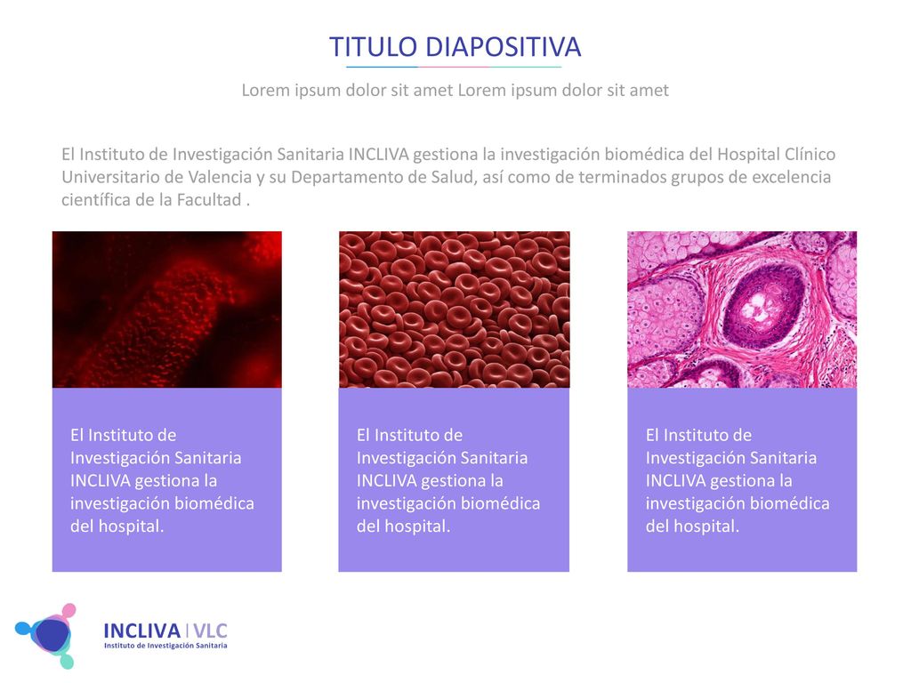 Lorem ipsum dolor sit amet Lorem ipsum dolor sit amet