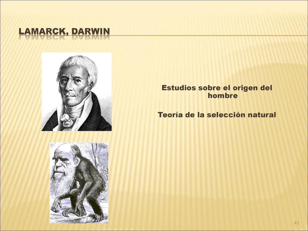 Estudios sobre el origen del hombre Teoría de la selección natural