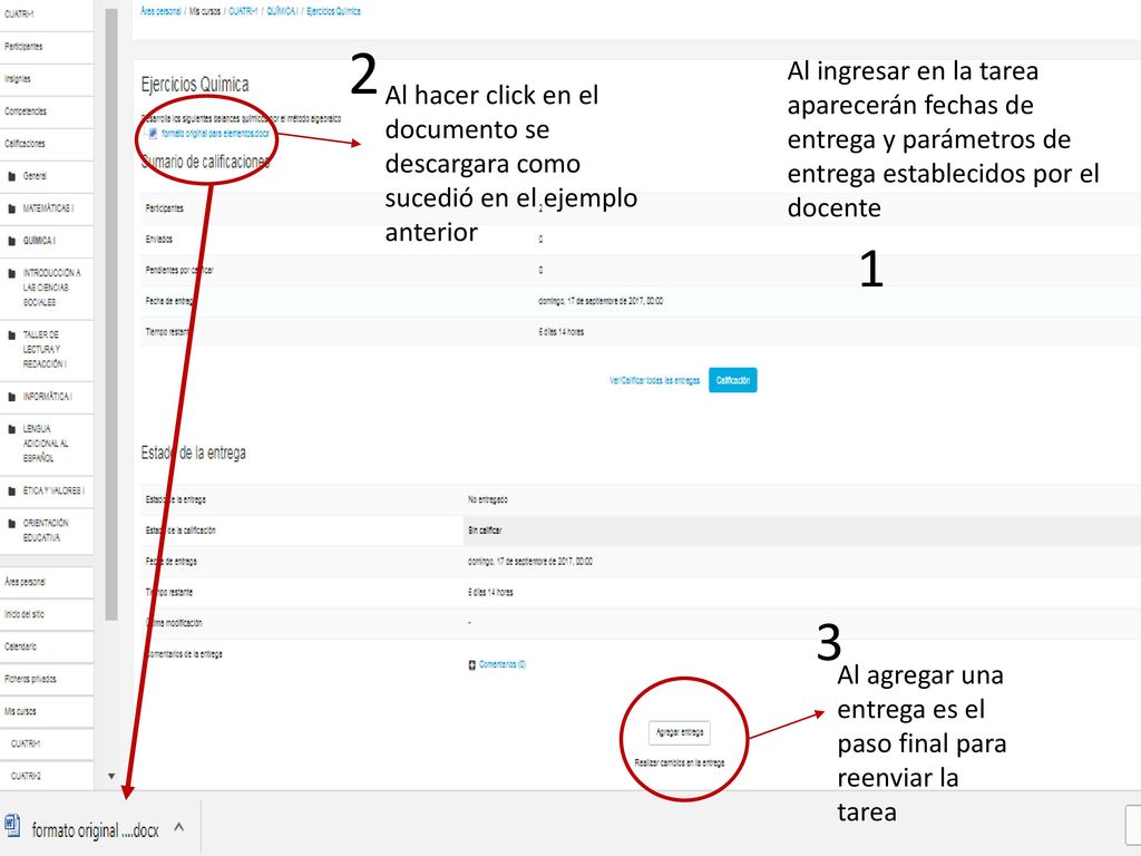 Al ingresar en la tarea aparecerán fechas de entrega y parámetros de entrega establecidos por el docente