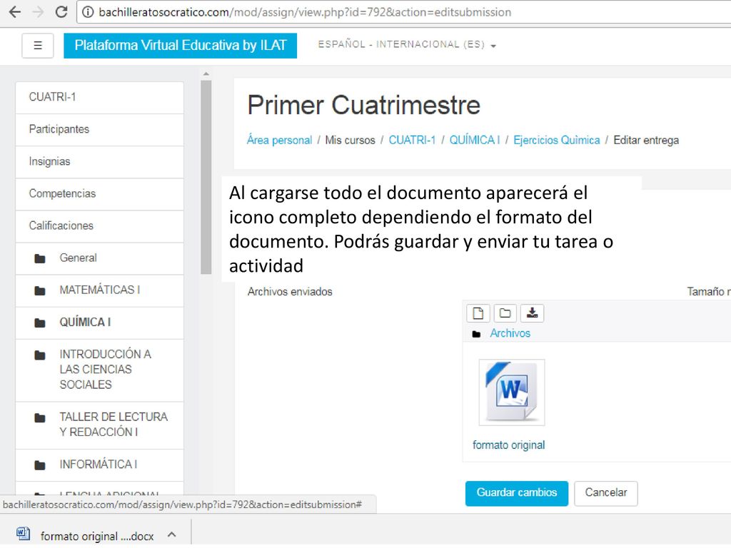 Al cargarse todo el documento aparecerá el icono completo dependiendo el formato del documento.