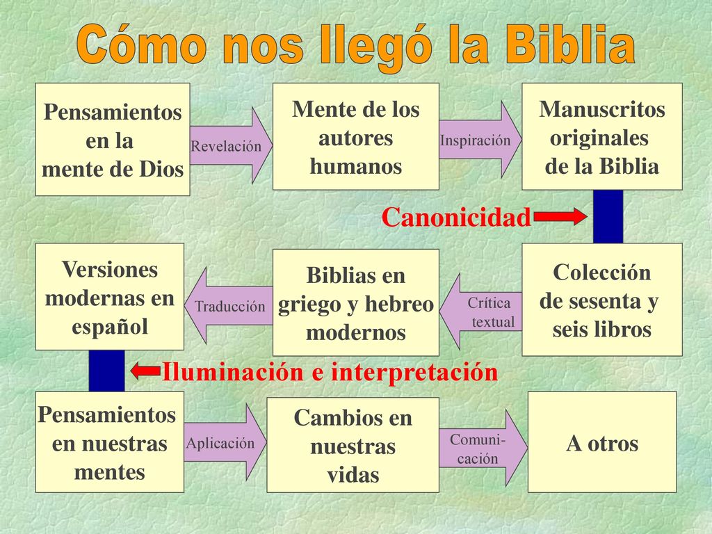 CÓMO NOS LLEGÓ LA BIBLIA?