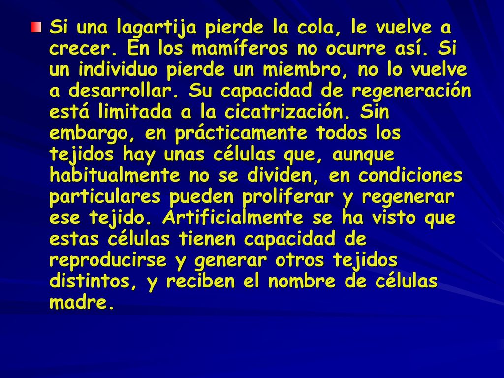 Si una lagartija pierde la cola, le vuelve a crecer