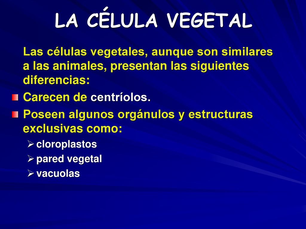 LA CÉLULA VEGETAL Las células vegetales, aunque son similares a las animales, presentan las siguientes diferencias: