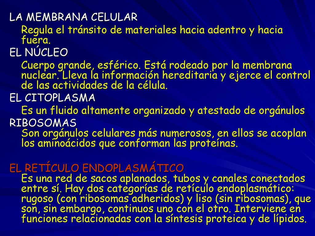 LA MEMBRANA CELULAR Regula el tránsito de materiales hacia adentro y hacia fuera. EL NÚCLEO.
