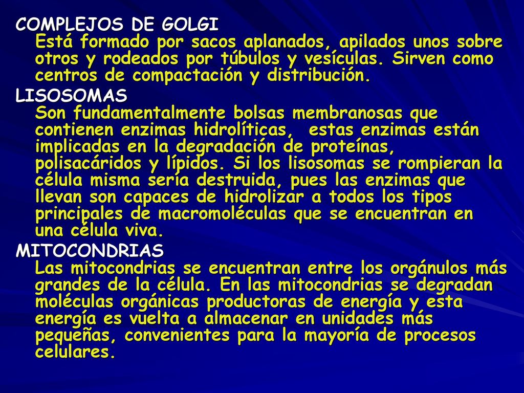 COMPLEJOS DE GOLGI Está formado por sacos aplanados, apilados unos sobre otros y rodeados por túbulos y vesículas. Sirven como centros de compactación y distribución.