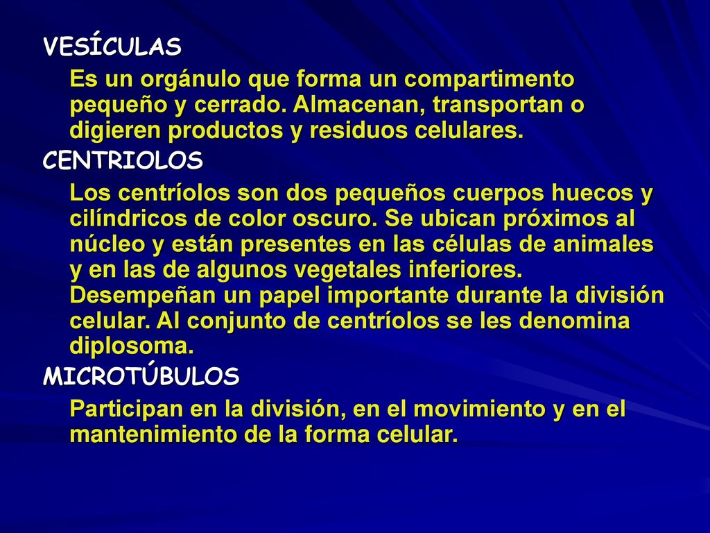 VESÍCULAS Es un orgánulo que forma un compartimento pequeño y cerrado. Almacenan, transportan o digieren productos y residuos celulares.
