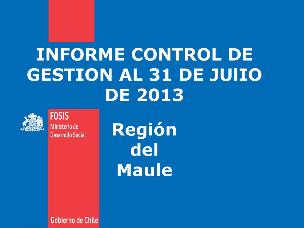 INFORME CONTROL DE GESTION AL 31 DE JUlIO DE 2013