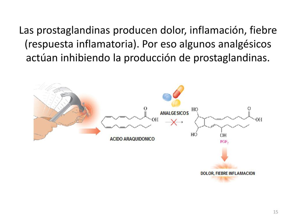 Las prostaglandinas producen dolor, inflamación, fiebre (respuesta inflamatoria).