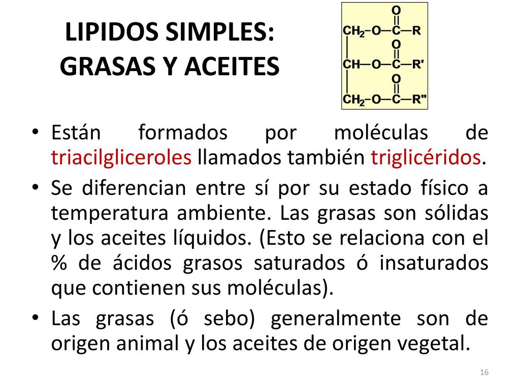 LIPIDOS SIMPLES: GRASAS Y ACEITES