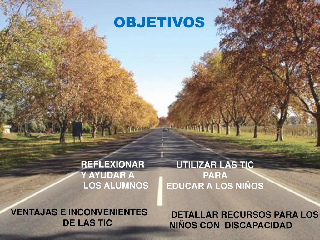 OBJETIVOS REFLEXIONAR Y AYUDAR A UTILIZAR LAS TIC LOS ALUMNOS PARA