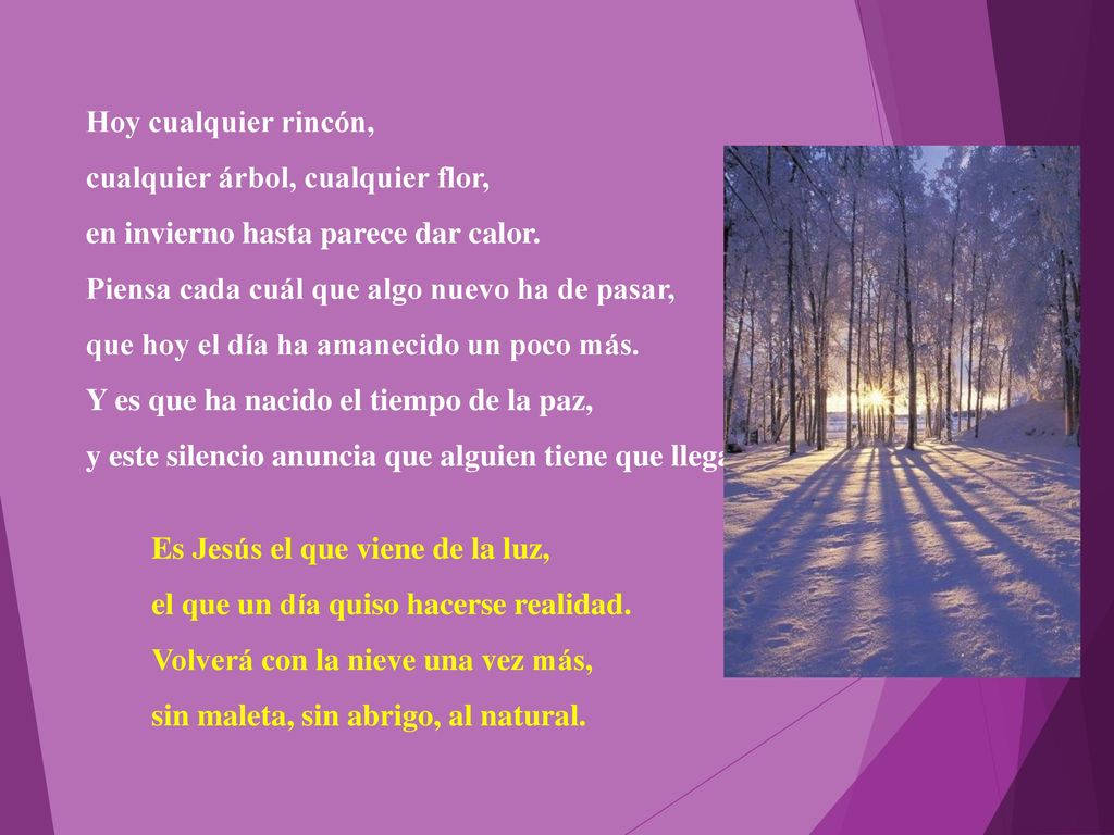 Hoy cualquier rincón, cualquier árbol, cualquier flor, en invierno hasta parece dar calor. Piensa cada cuál que algo nuevo ha de pasar,