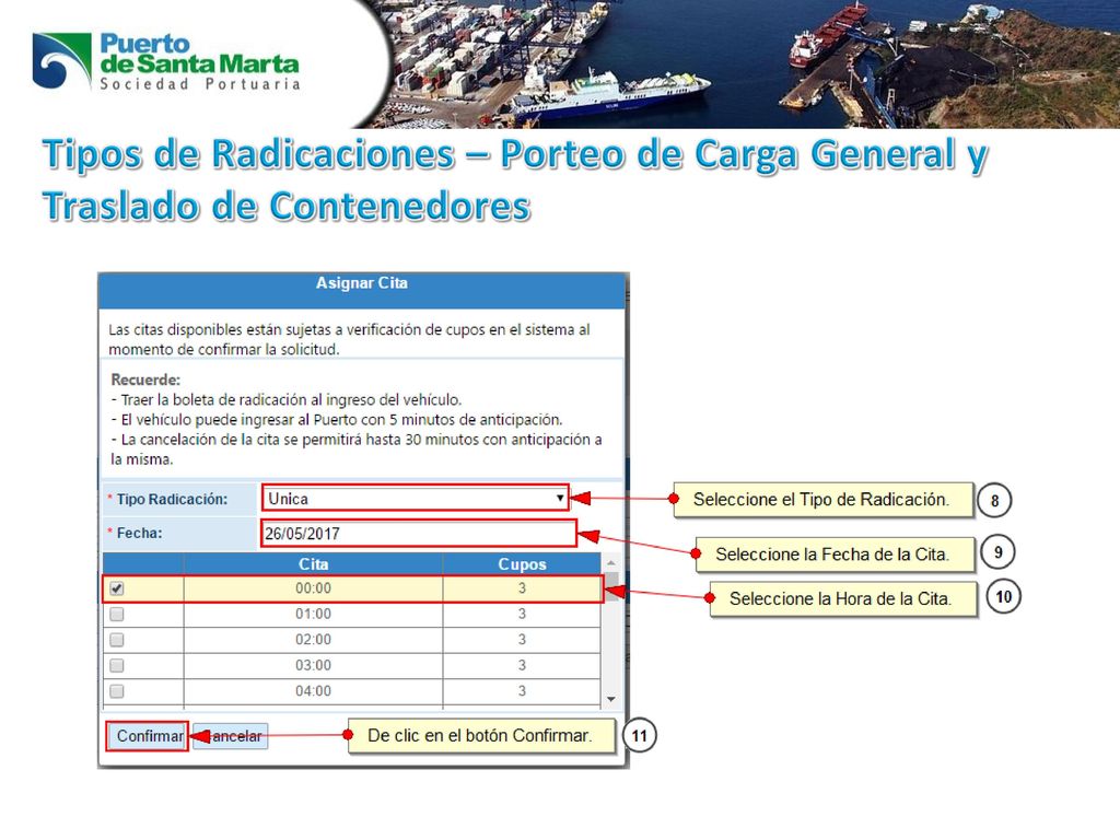Tipos de Radicaciones – Porteo de Carga General y Traslado de Contenedores