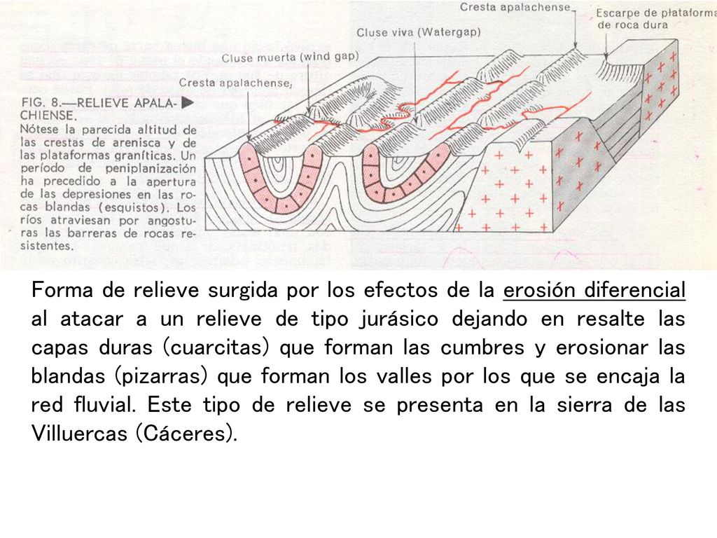 Forma de relieve surgida por los efectos de la erosión diferencial al atacar a un relieve de tipo jurásico dejando en resalte las capas duras (cuarcitas) que forman las cumbres y erosionar las blandas (pizarras) que forman los valles por los que se encaja la red fluvial.