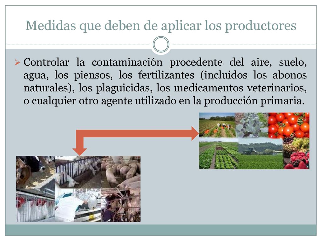 Medidas que deben de aplicar los productores