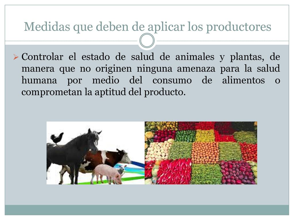 Medidas que deben de aplicar los productores