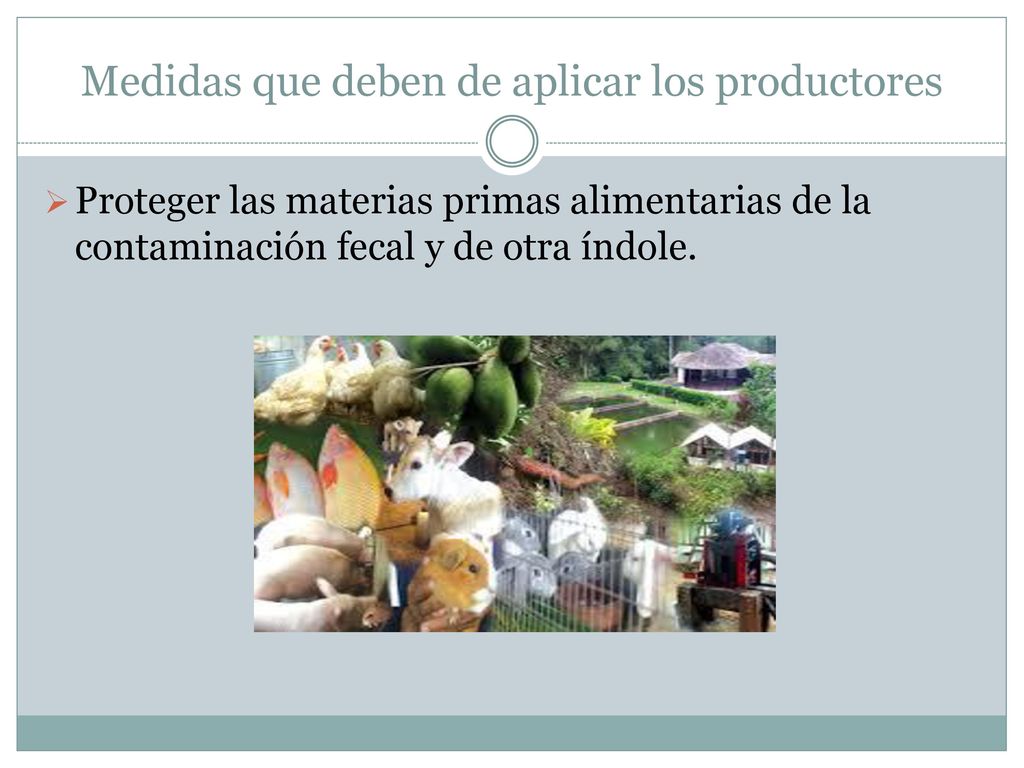 Medidas que deben de aplicar los productores