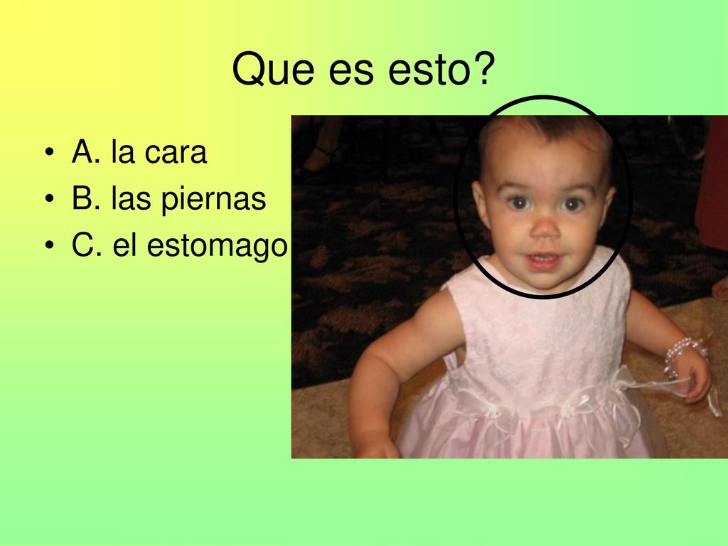 Que es esto A. la cara B. las piernas C. el estomago