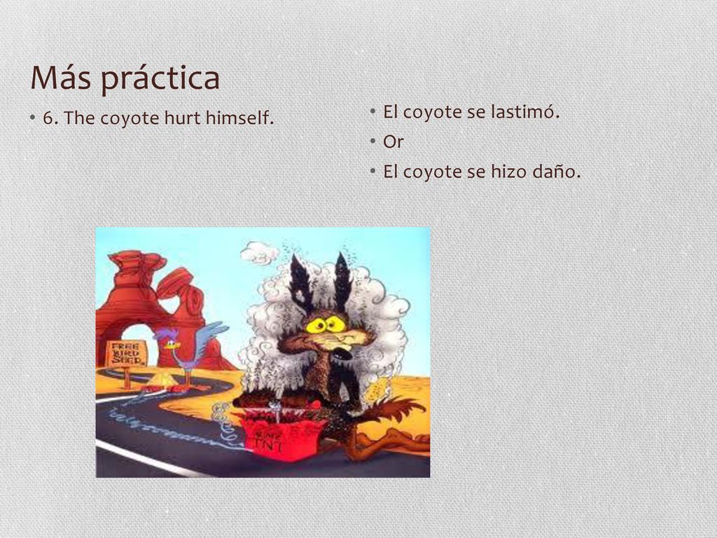 Más práctica El coyote se lastimó. 6. The coyote hurt himself. Or
