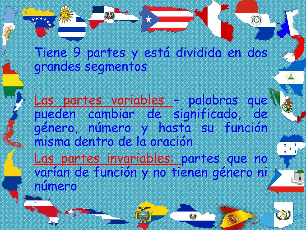 Tiene 9 partes y está dividida en dos grandes segmentos