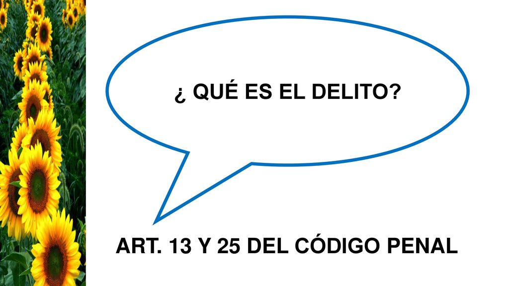 ¿ QUÉ ES EL DELITO ART. 13 Y 25 DEL CÓDIGO PENAL