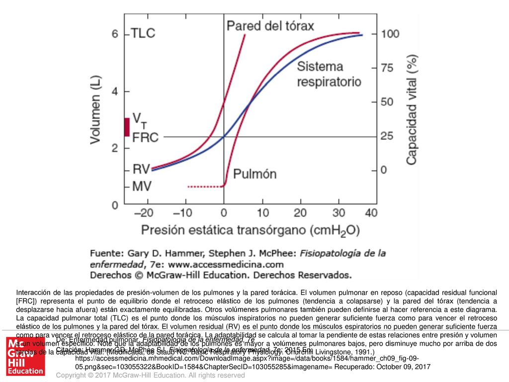 Interacción de las propiedades de presión-volumen de los pulmones y la pared torácica. El volumen pulmonar en reposo (capacidad residual funcional [FRC]) representa el punto de equilibrio donde el retroceso elástico de los pulmones (tendencia a colapsarse) y la pared del tórax (tendencia a desplazarse hacia afuera) están exactamente equilibradas. Otros volúmenes pulmonares también pueden definirse al hacer referencia a este diagrama. La capacidad pulmonar total (TLC) es el punto donde los músculos inspiratorios no pueden generar suficiente fuerza como para vencer el retroceso elástico de los pulmones y la pared del tórax. El volumen residual (RV) es el punto donde los músculos espiratorios no pueden generar suficiente fuerza como para vencer el retroceso elástico de la pared torácica. La adaptabilidad se calcula al tomar la pendiente de estas relaciones entre presión y volumen a un volumen específico. Note que la adaptabilidad de los pulmones es mayor a volúmenes pulmonares bajos, pero disminuye mucho por arriba de dos tercios de la capacidad vital. (Modificada, de Staub NC. Basic Respiratory Physiology. Churchill Livingstone, 1991.)