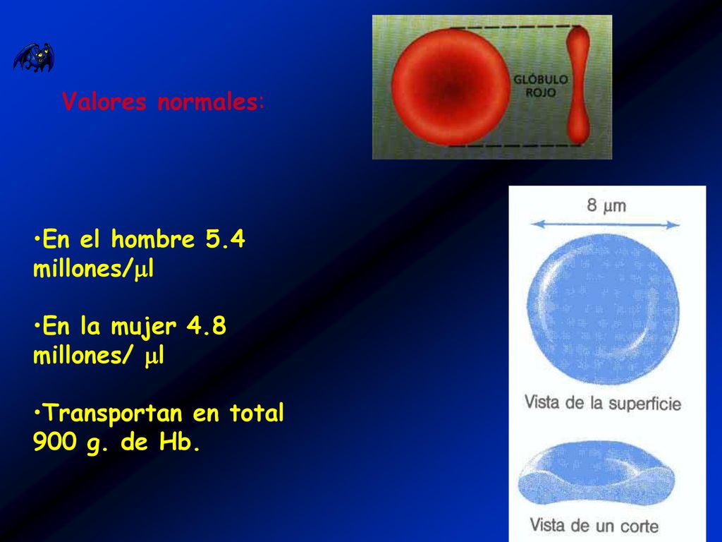 Valores normales: En el hombre 5.4 millones/l. En la mujer 4.8 millones/ l.