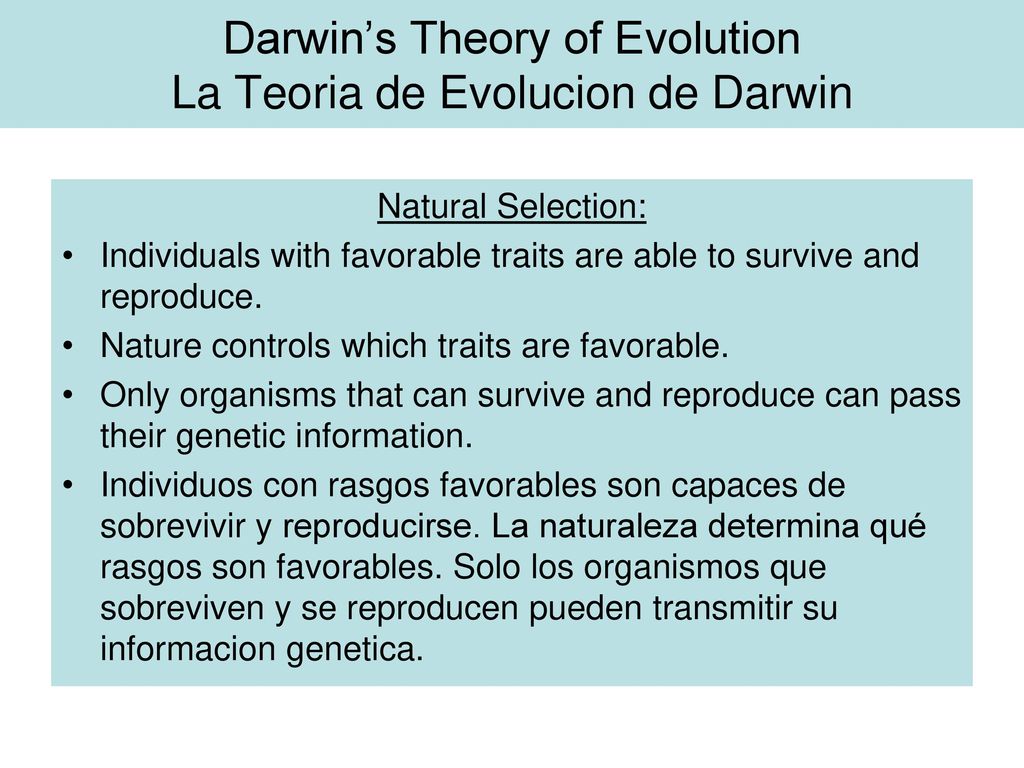 Darwin’s Theory of Evolution La Teoria de Evolucion de Darwin