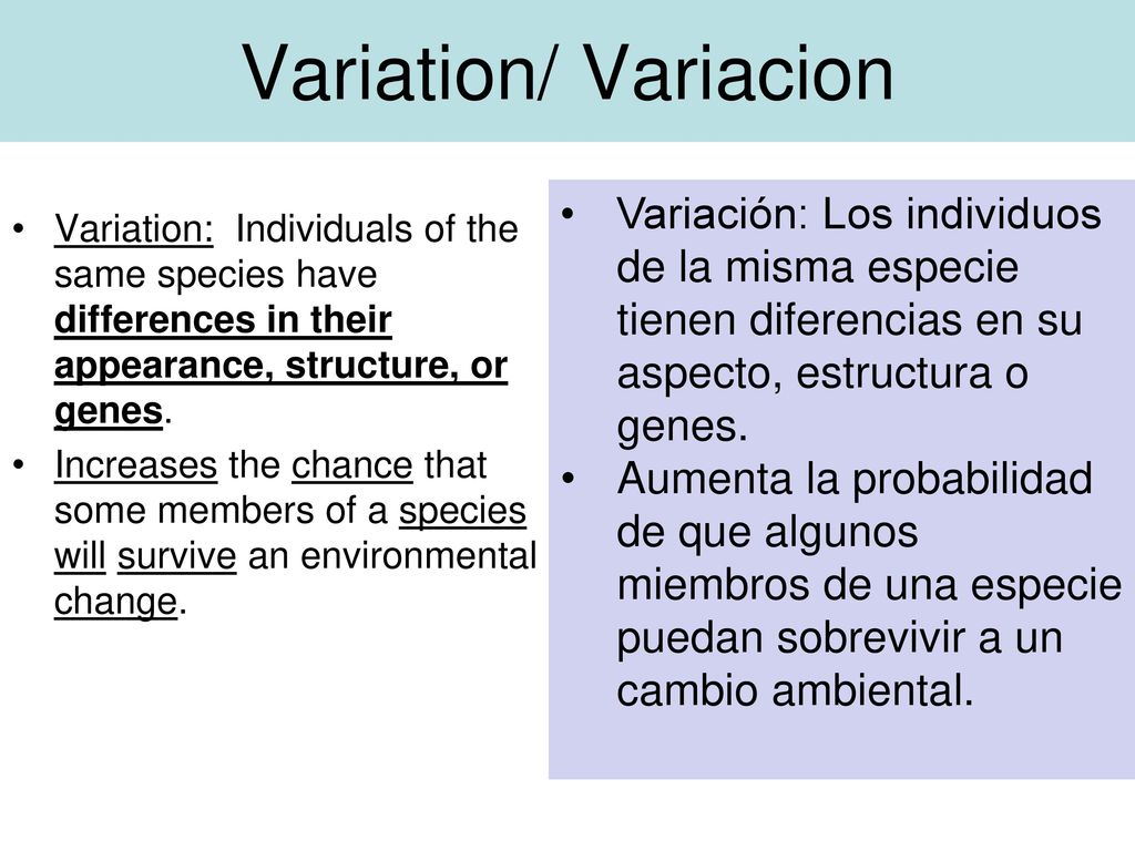Variation/ Variacion Variación: Los individuos de la misma especie tienen diferencias en su aspecto, estructura o genes.