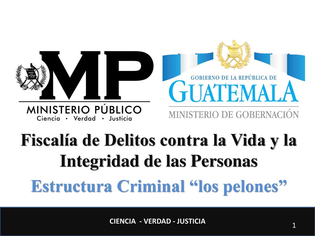 Fiscalía de Delitos contra la Vida y la Integridad de las Personas