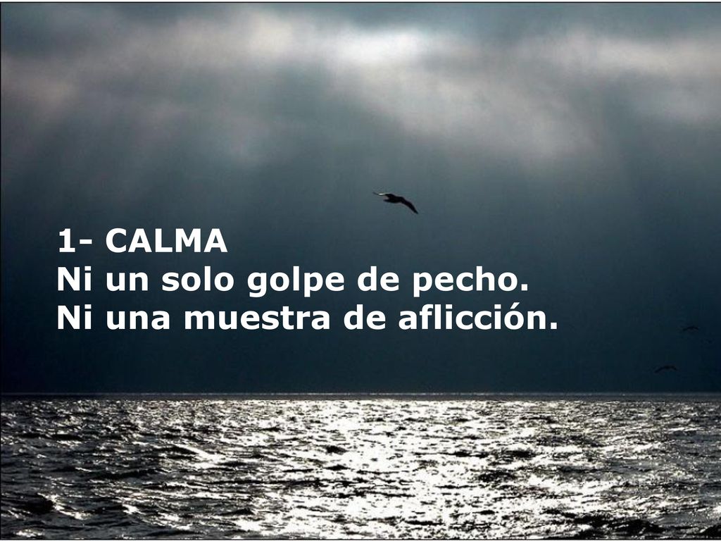 1- CALMA Ni un solo golpe de pecho. Ni una muestra de aflicción.
