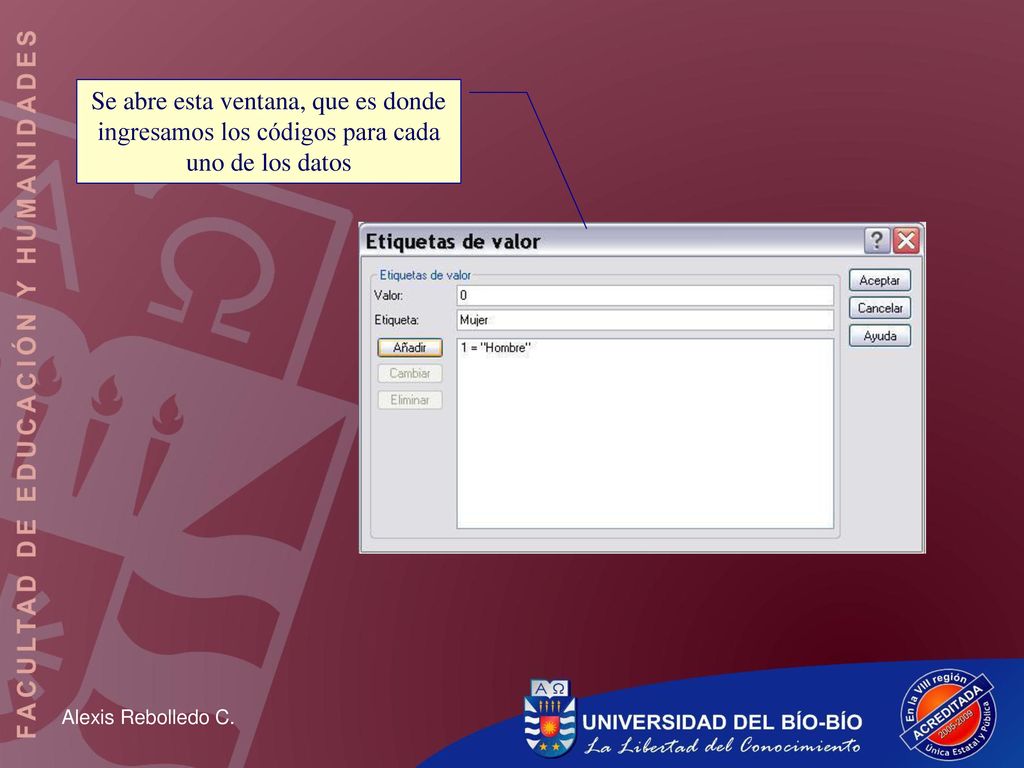Se abre esta ventana, que es donde ingresamos los códigos para cada uno de los datos