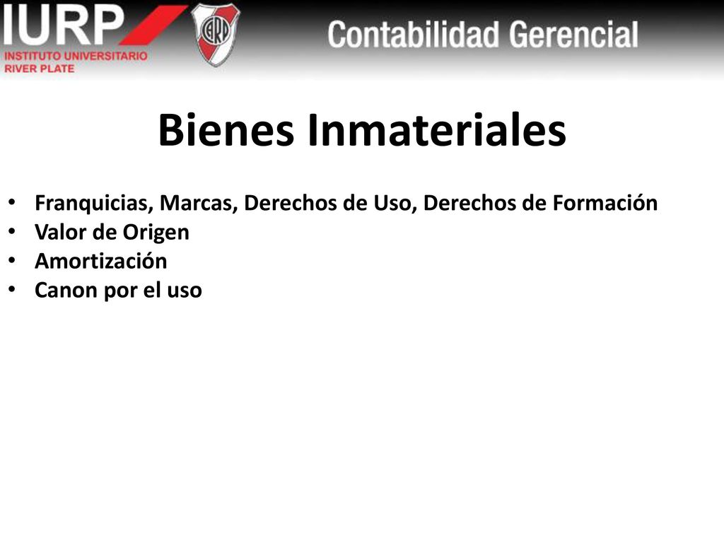 Bienes Inmateriales Franquicias, Marcas, Derechos de Uso, Derechos de Formación. Valor de Origen. Amortización.