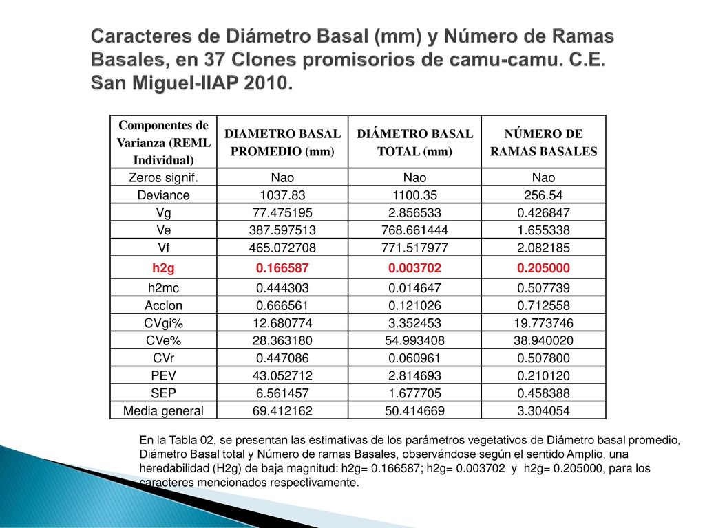 Caracteres de Diámetro Basal (mm) y Número de Ramas Basales, en 37 Clones promisorios de camu-camu. C.E. San Miguel-IIAP 2010.