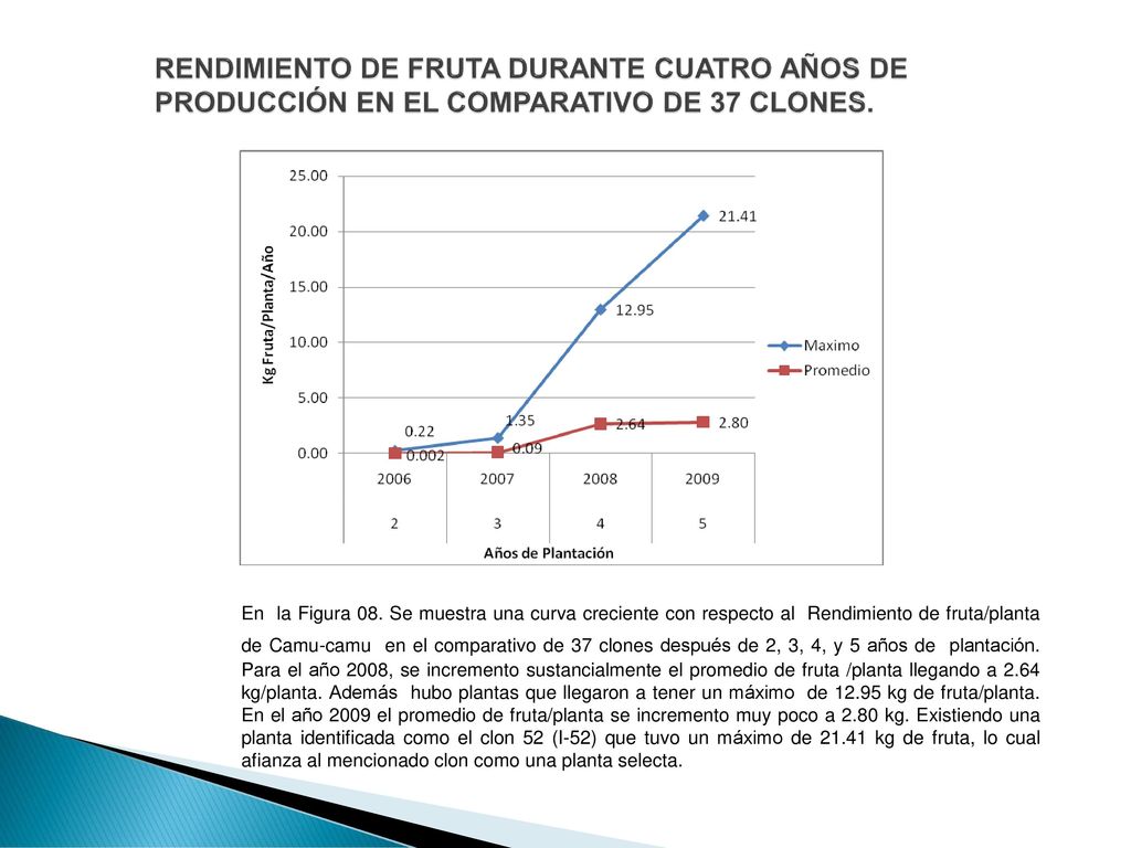 RENDIMIENTO DE FRUTA DURANTE CUATRO AÑOS DE PRODUCCIÓN EN EL COMPARATIVO DE 37 CLONES.