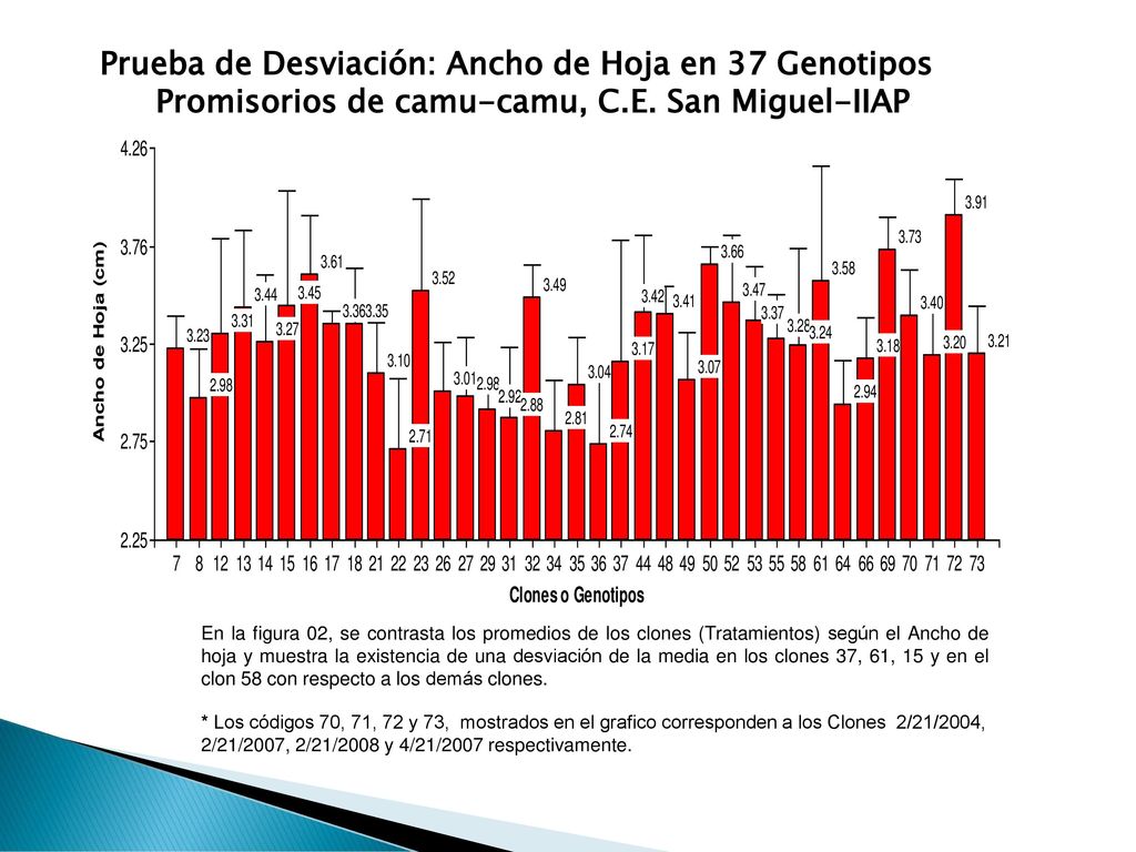 Prueba de Desviación: Ancho de Hoja en 37 Genotipos Promisorios de camu-camu, C.E. San Miguel-IIAP 2010.