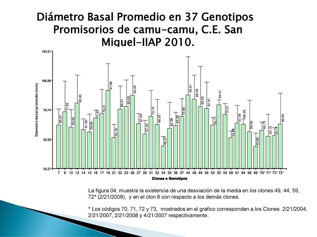 Diámetro Basal Promedio en 37 Genotipos Promisorios de camu-camu, C. E
