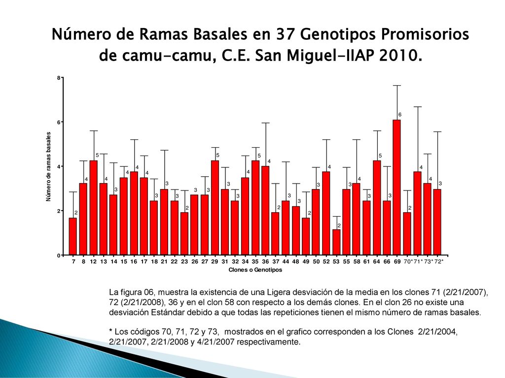 Número de Ramas Basales en 37 Genotipos Promisorios de camu-camu, C. E