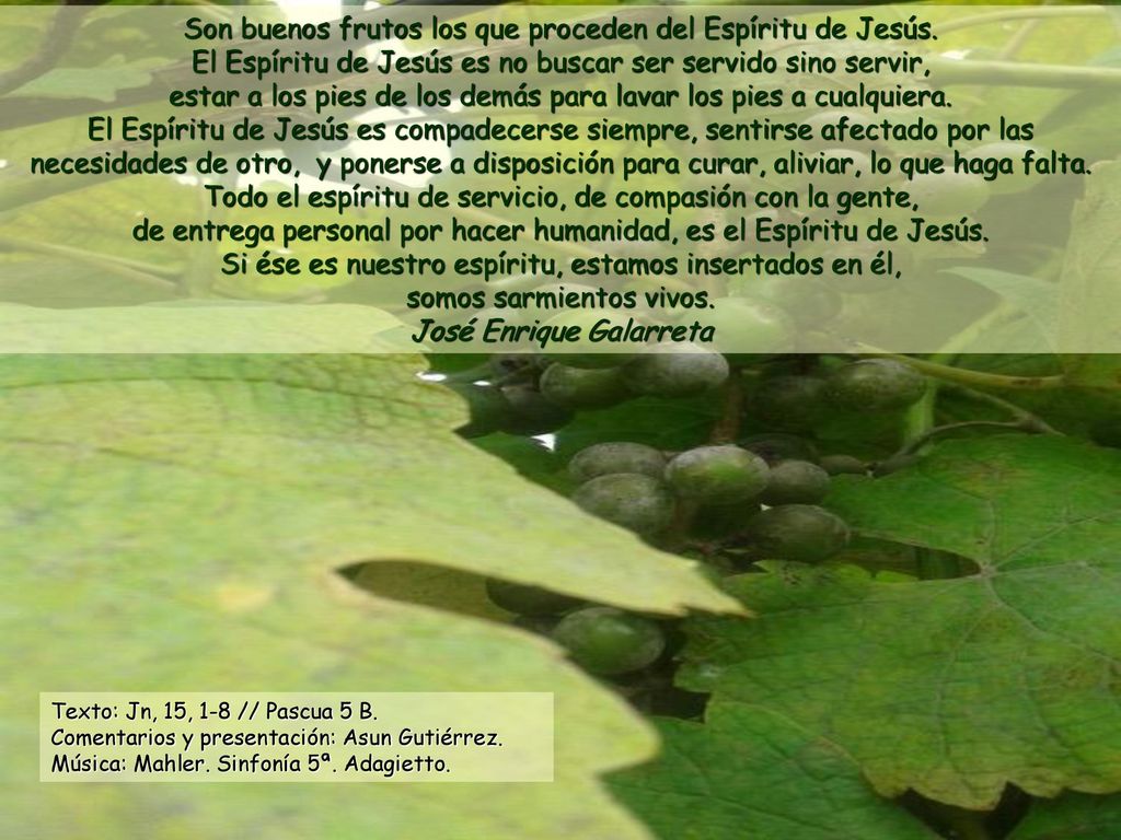 Son buenos frutos los que proceden del Espíritu de Jesús.