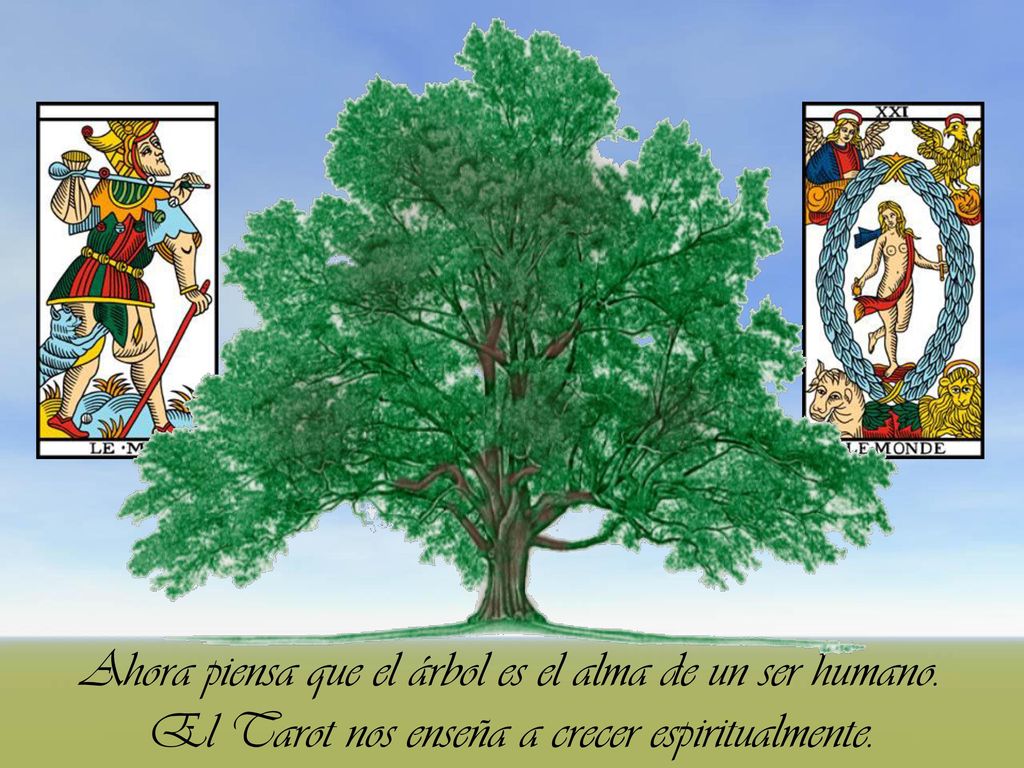 Ahora piensa que el árbol es el alma de un ser humano.
