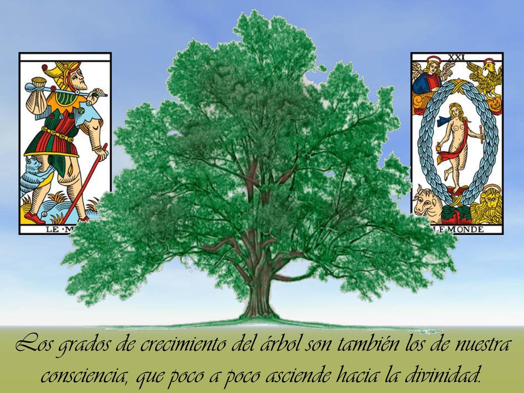 Los grados de crecimiento del árbol son también los de nuestra consciencia, que poco a poco asciende hacia la divinidad.