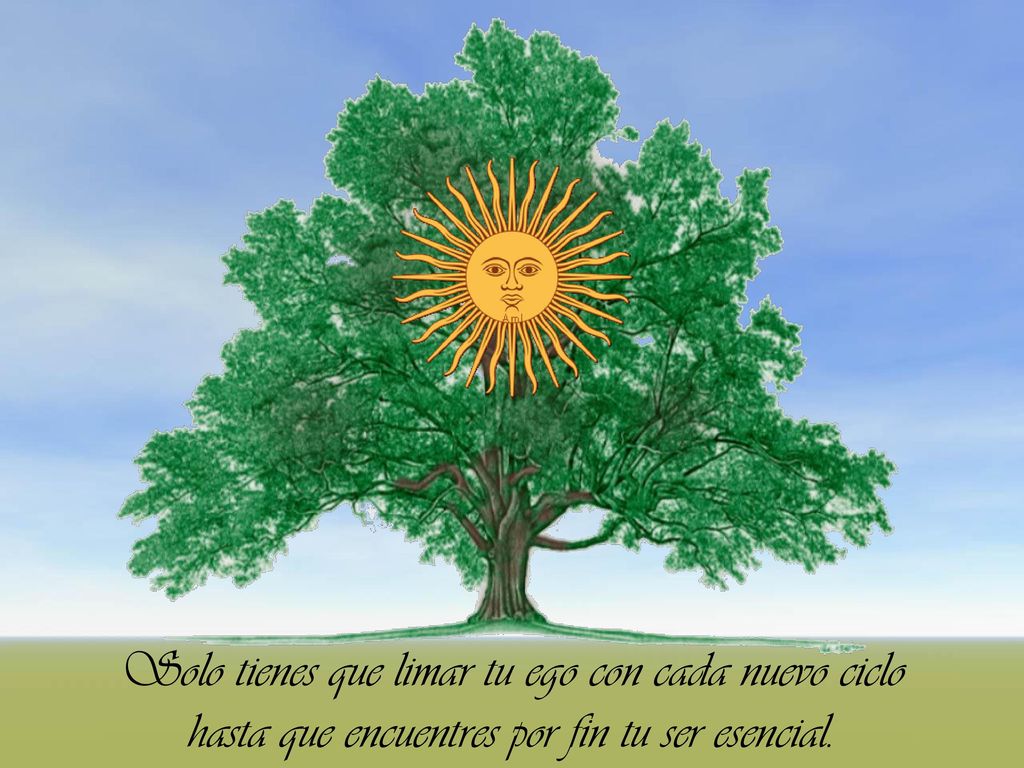 Solo tienes que limar tu ego con cada nuevo ciclo